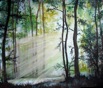 Nr. 472 Licht durchflutet den Wald, Format: 120 x 100 cm, verkauft