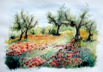 Nr. 240 Mohnblüte im Olivenhain, Format: 50 x 70 cm, Preis o. Rahmen: 80 €