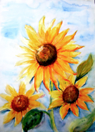 Nr. 279 Sonnenblumen (AK), Format: 30 x 40 cm, Preis o. Rahmen: 50€